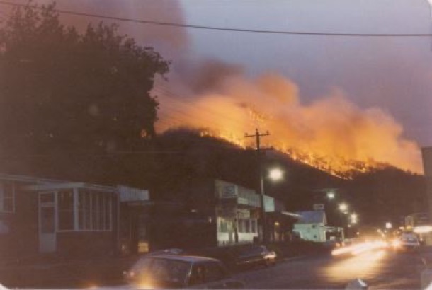 1983_ashwednesday_warburton_v3_jvp