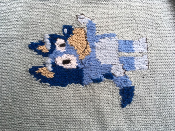 Bluey close up