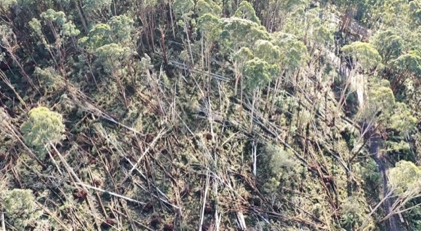 Windstorm 2