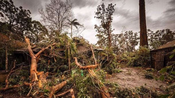 Windstorm
